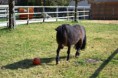 /album/timo/a2012-04-02-17-timo-jpg/